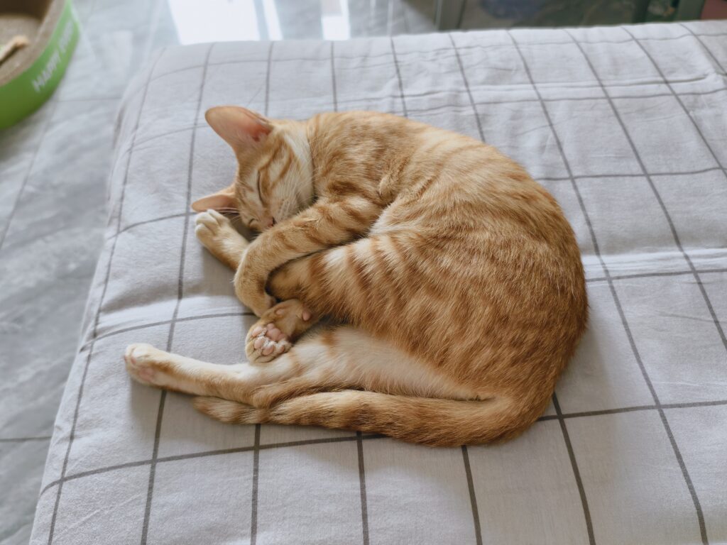 exif信息去除测试