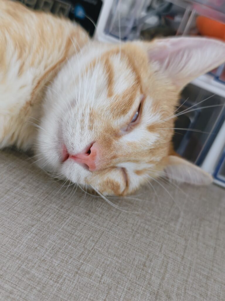 我真的有点儿无语