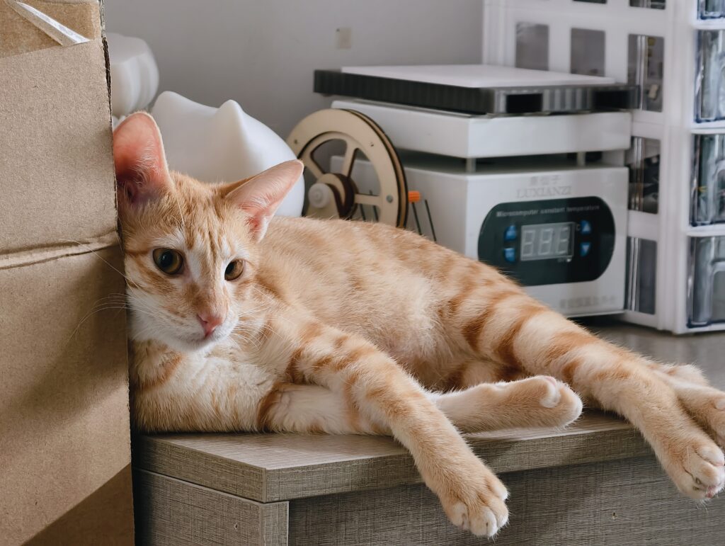 可以不写吗呜呜呜呜好麻烦